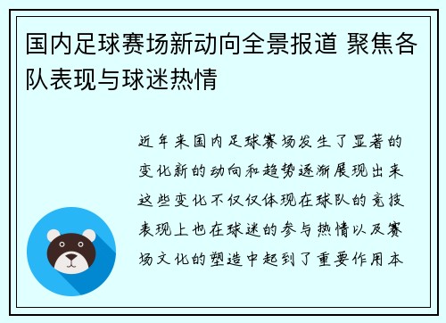 国内足球赛场新动向全景报道 聚焦各队表现与球迷热情